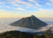Keindahan Gunung Merbabu, Sabana di Negeri Atas Awan