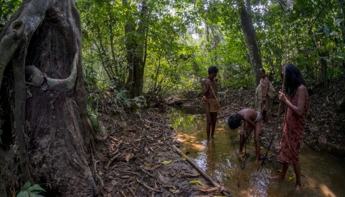 Taman Nasional Bukit Duabelas Warisan Alam dan Rumah bagi Orang Rimba