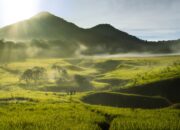 Gunung Papandayan Keindahan Alam dan Kawah Vulkanik yang Mempesona