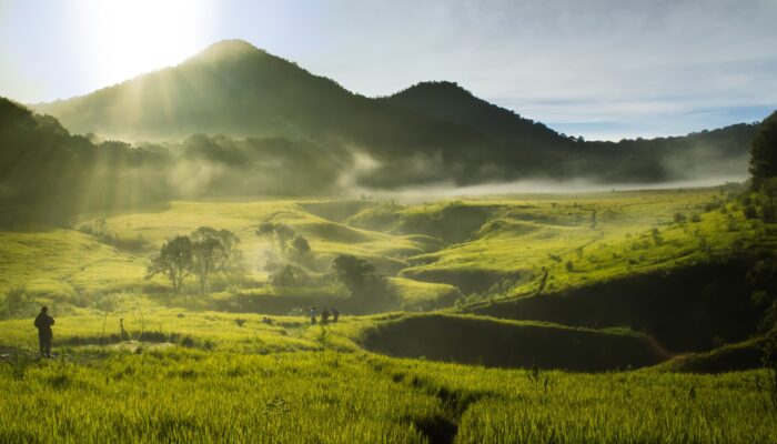 Gunung Papandayan Keindahan Alam dan Kawah Vulkanik yang Mempesona