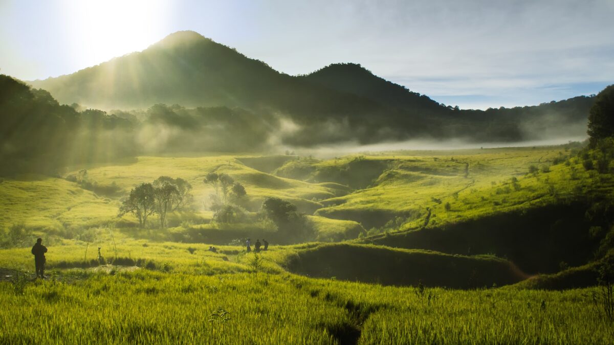 Savana Tegal Panjang di Gunung Papandayan [Foto Wikipedia]