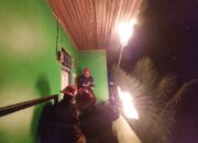 Damkar Padang Eksekusi Sarang Lebah di Rumah Kos, Warga Lega