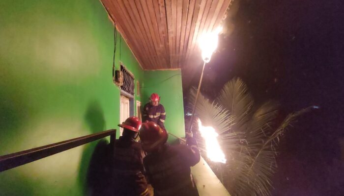 Damkar Padang Eksekusi Sarang Lebah di Rumah Kos, Warga Lega
