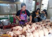 Harga Daging Ayam Broiler di Padang Panjang Turun, Cabai Masih Mahal