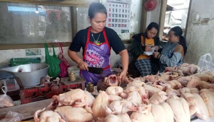 Harga Daging Ayam Broiler di Padang Panjang Turun, Cabai Masih Mahal