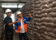 Dukung Ketahanan Pangan, Pupuk Kaltim Siapkan Stok Pupuk Subsidi Lebih Dari 257 Ribu Ton 