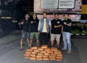 Tim Klewang Amankan 28 Paket Ganja Kering di Lubuk Buaya, Pemilik Masih Diburu