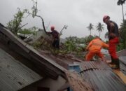 Hujan Deras dan Angin Kencang di Padang, Puluhan Pohon Tumbang dan Longsor Terjadi