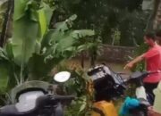 Bus PO Yanti Terperosok ke Jurang di Padang Pariaman, 12 Penumpang Jadi Korban