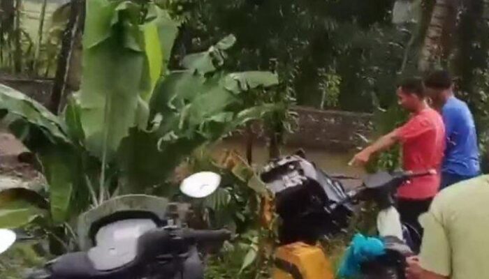 Bus PO Yanti Terperosok ke Jurang di Padang Pariaman, 12 Penumpang Jadi Korban