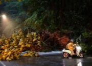 Longsor di Sitinjau Lauik, Jalur Padang-Solok Lumpuh Total