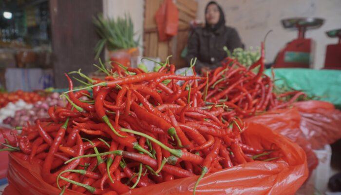 Harga Cabai Merah Anjlok di Padang Panjang, Ini Daftar Komoditas yang Turun