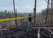 5 Hektare Taman Nasional Tesso Nilo Terbakar, Polisi Selidiki Dugaan Pembakaran Liar