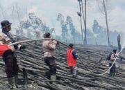 10 Daerah di Riau Tetapkan Status Siaga Darurat Karhutla