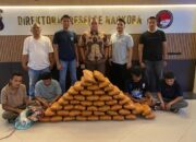 Empat Pemuda Ditangkap di Dua Lokasi, 47 Paket Ganja Disita Ditresnarkoba Polda Sumbar