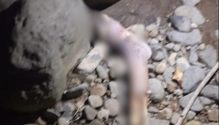 Warga Geger! Bagian Kaki Manusia Ditemukan di Pinggir Sungai Padang Besi