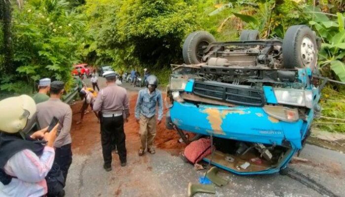 Truk Bermuatan Serbuk Kayu Terbalik di Kelok S Bungus, Lalu Lintas Sempat Tersendat
