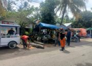 Diterjang Angin Kencang, Pohon Tumbang Timpa Kabel Listrik di Pasie Nan Tigo