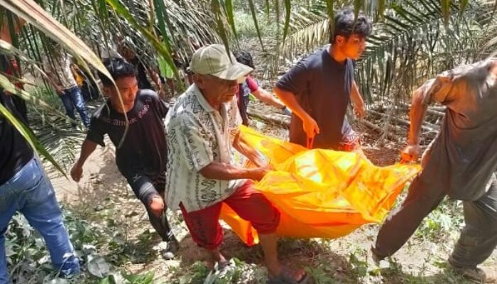 Warga Koto Tibun Geger! Mayat Pria Tanpa Identitas Ditemukan di Sungai