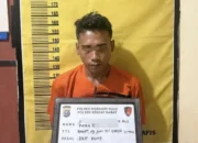 Bejat! Pemuda Pengangguran di Riau Rudapaksa IRT, Ancam Pakai Pisau
