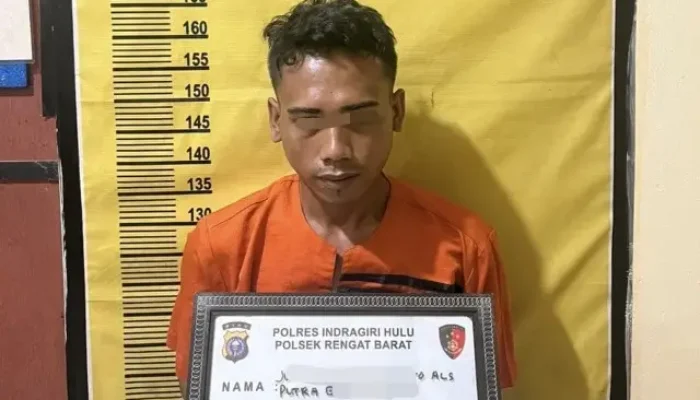 Bejat! Pemuda Pengangguran di Riau Rudapaksa IRT, Ancam Pakai Pisau