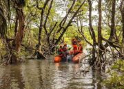 Hari Kelima Pencarian, Korban Diterkam Buaya di Pasaman Barat