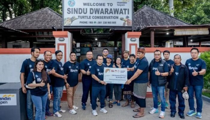 Dukung Pelestarian Penyu di Sanur, Mandiri Taspen Lakukan Hal Ini