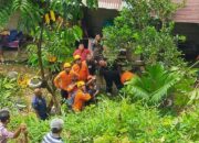 Buruh Terjepit Pohon saat Menebang, BPBD Padang Berhasil Evakuasi