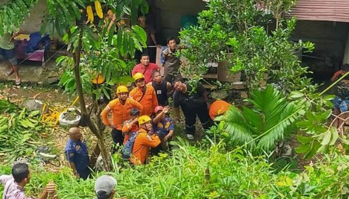 Buruh Terjepit Pohon saat Menebang, BPBD Padang Berhasil Evakuasi