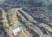 Polres Rohul Tangkap Tiga Pelaku Pembakaran Hutan di Kawasan HPT Tanjung Medan