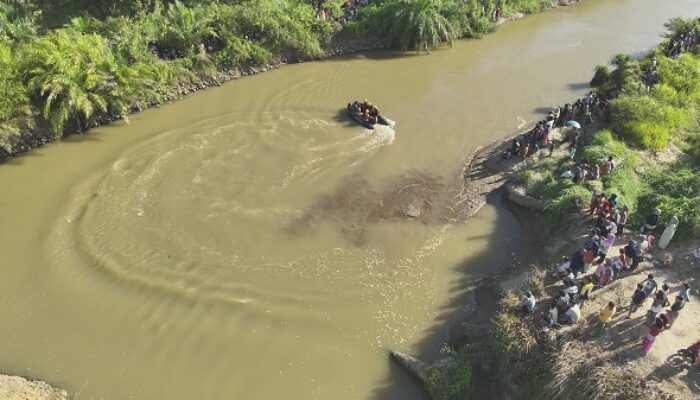 Korban Terkaman Buaya di Pasaman Barat Belum Ditemukan, Tim SAR Lanjutkan Pencarian Besok