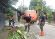 Pohon Tumbang di Lubuk Lintah, Akses Jalan Sempat Terganggu