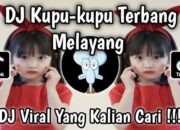 Lirik Lagu Viral TikTok Kupu Kupu Terbang Melayang Aku Lucu Banyak yang Sayang