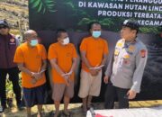 Ngaku Tanah Ulayat, Ninik Mamak di Riau Jual Hutan Lindung