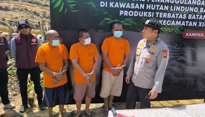 Ngaku Tanah Ulayat, Ninik Mamak di Riau Jual Hutan Lindung