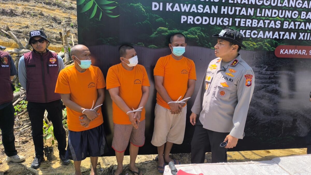 Tokoh adat berinisial DM saat diamankan oleh petugas Ditreskrimsus Polda Riau di kawasan Desa Balung, XIII Koto Kampar, Senin (9/6/2025). (Ist)
