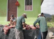 Sapi Kurban Bantuan Indojalito Peduli Disalurkan ke Warga Pasar Usang Padang Panjang