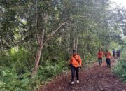 Seorang Perempuan Hilang di Hutan Riau, Tim Sar Lakukan Pencarian