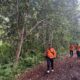 Seorang Perempuan Hilang di Hutan Riau, Tim Sar Lakukan Pencarian