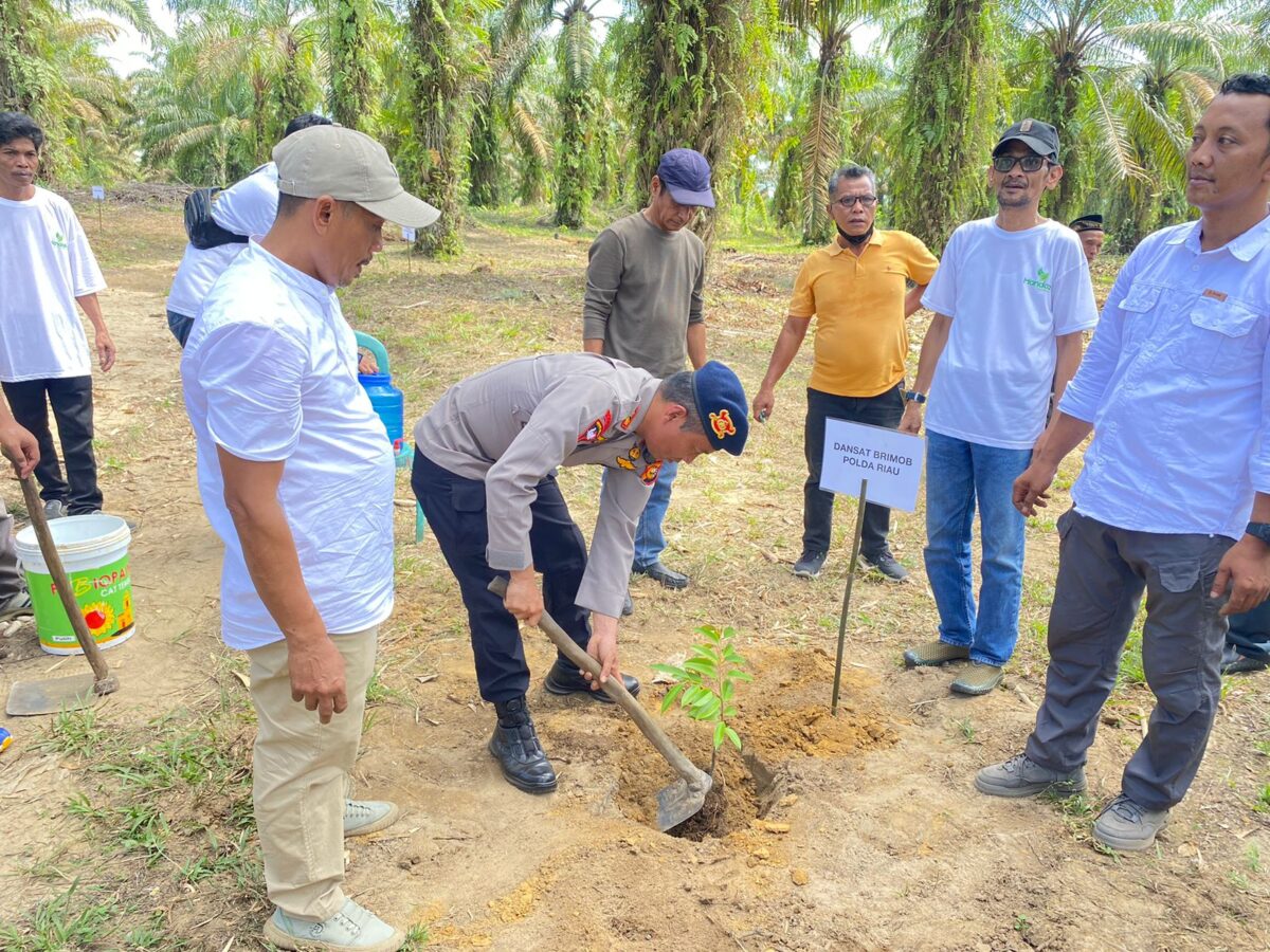 AKBP Franky Tambunan saat menanam pohon di kawasan konservasi PT PSPI, Kampar, Kamis (5/6/2025).