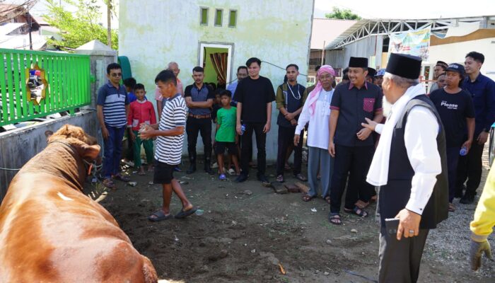 Ponpes Minangkabau Penuh Syukur Terima Bantuan Sapi Kurban Presiden, Diserahkan Langsung Wagub Vasko