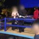 Petugas Satpol PP Kota Padang mengamankan sejumlah remaja yang terjaring patroli malam di kawasan Padang Selatan, Rabu dini hari (11/6/2025). (Foto: Ingatlah.com)