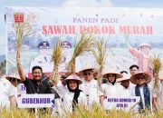 Inovasi Pertanian Sawah Pokok Murah di Sumbar Didorong Jadi Program Nasional