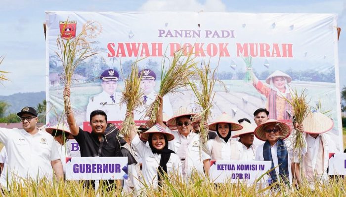 Inovasi Pertanian Sawah Pokok Murah di Sumbar Didorong Jadi Program Nasional
