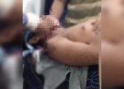 Harimau Sumatera Serang Pekerja di Camp Hutan, Korban Tewas di Tempat