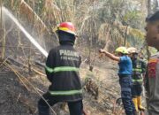 Api Lahap Lahan di Bukit Putus Padang, Gudang Amunisi TNI AL Nyaris Terdampak
