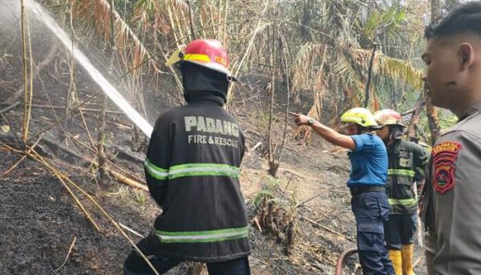 Api Lahap Lahan di Bukit Putus Padang, Gudang Amunisi TNI AL Nyaris Terdampak