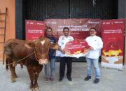 Rayakan Idul Adha, Telkomsel Distribusikan Hewan Kurban ke 600 Titik