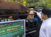 Usai Salat Id, Polda Riau Tebar 142 Hewan Kurban, Ini Lokasi Penyalurannya