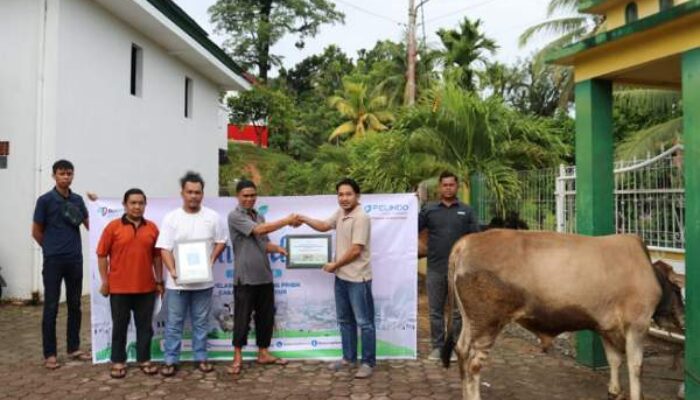 Rayakan Idul Adha, PTP Teluk Bayur Salurkan Qurban untuk Warga Sekitar Pelabuhan